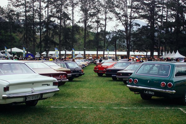 How Can UK Women's Fashion Incorporate Sustainability Trends?